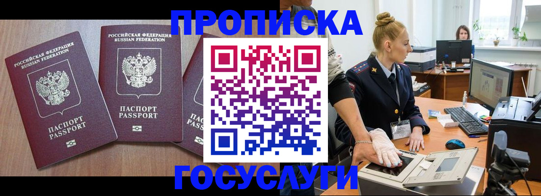 прописка поиск в Тольятти